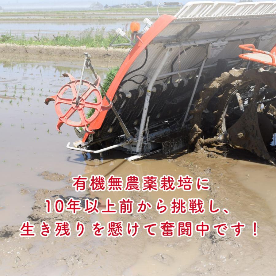玄米　分づき米　有機無農薬栽培　会津産『縁結び』　　15kg_5
