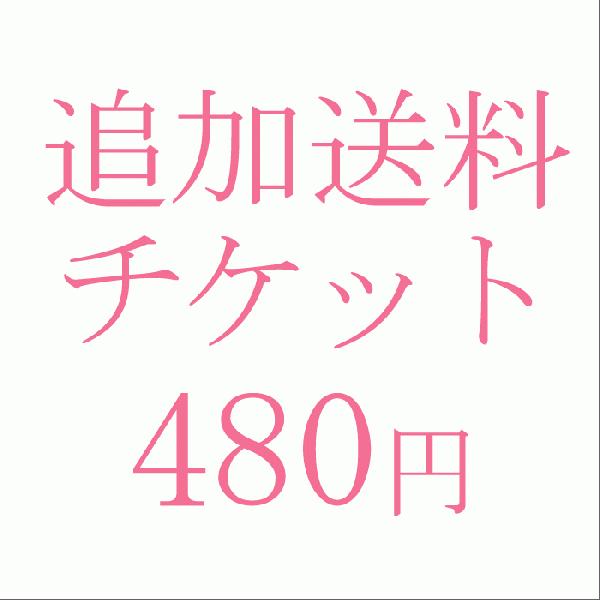 追加料金480円｜kyonenya