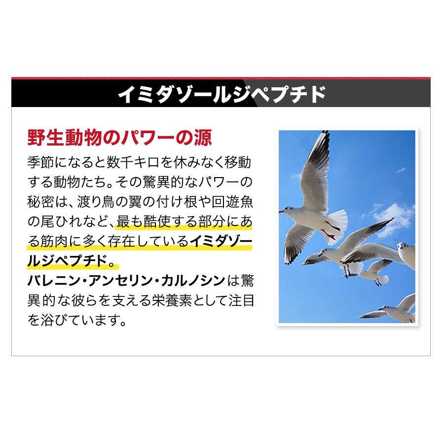 ファイテン.エクストリーム バレニン .ぶどう味.レモン味 3gx30 ファイテン.エクストリーム バレニン .ぶどう味.レモン味 3gx30