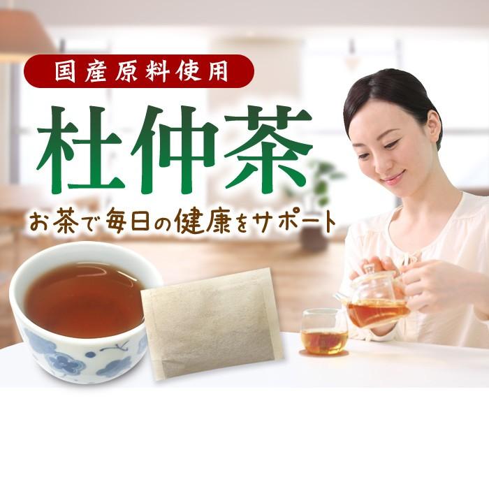 国産 杜仲茶 ノンカフェイン ダイエット茶 健康茶 お茶 国産杜仲茶 30包×20袋 ダイエットドリンク ダイエットティー 飲みやすい ゼンヤクノー_1