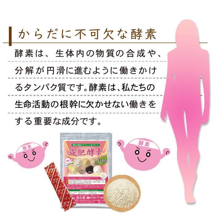 酵素 サプリ サプリメント 無添加 酵素サプリ ダイエット お試し 500円