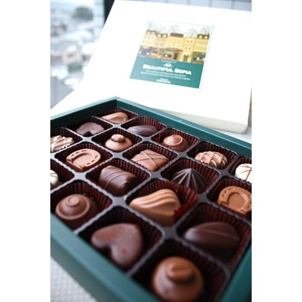 フランス屋製菓 ビューティフルセピア 30個入り | チョコレート