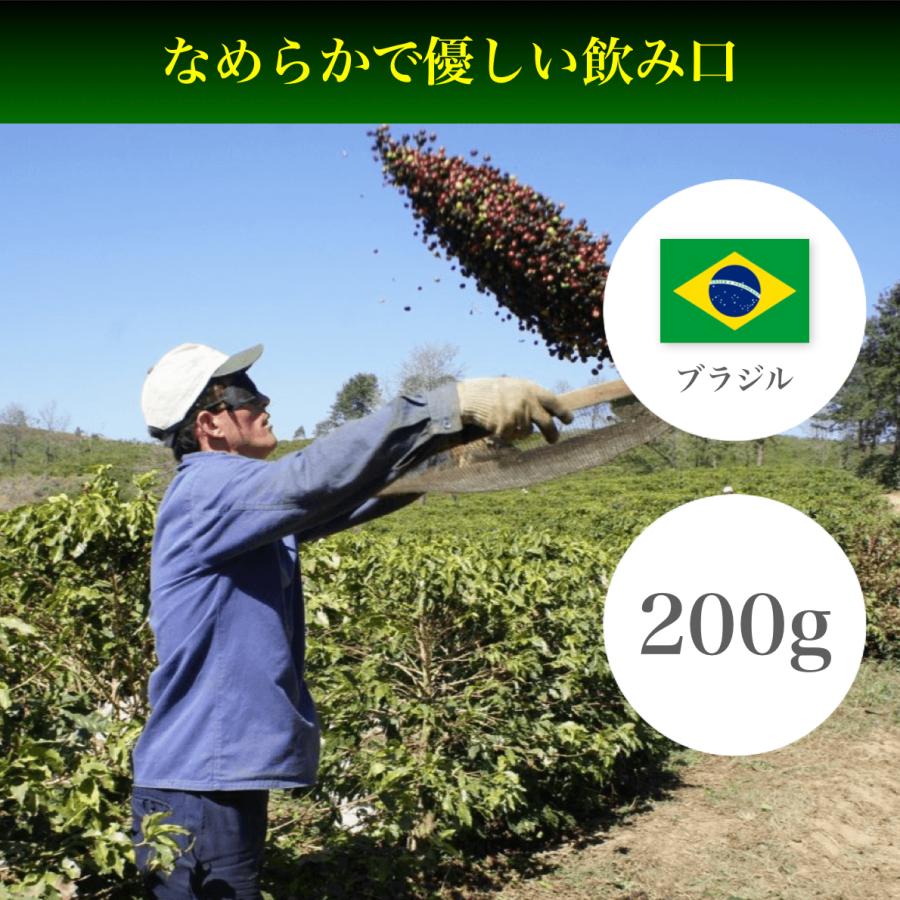 コーヒー豆 200g ブラジル モンテアレグレ | 