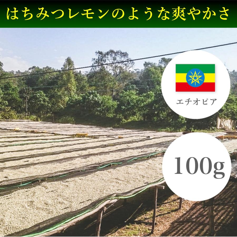 コーヒー豆 100g エチオピア イルガチェフェ ガルガリ グティティ フリーウォッシュド | 