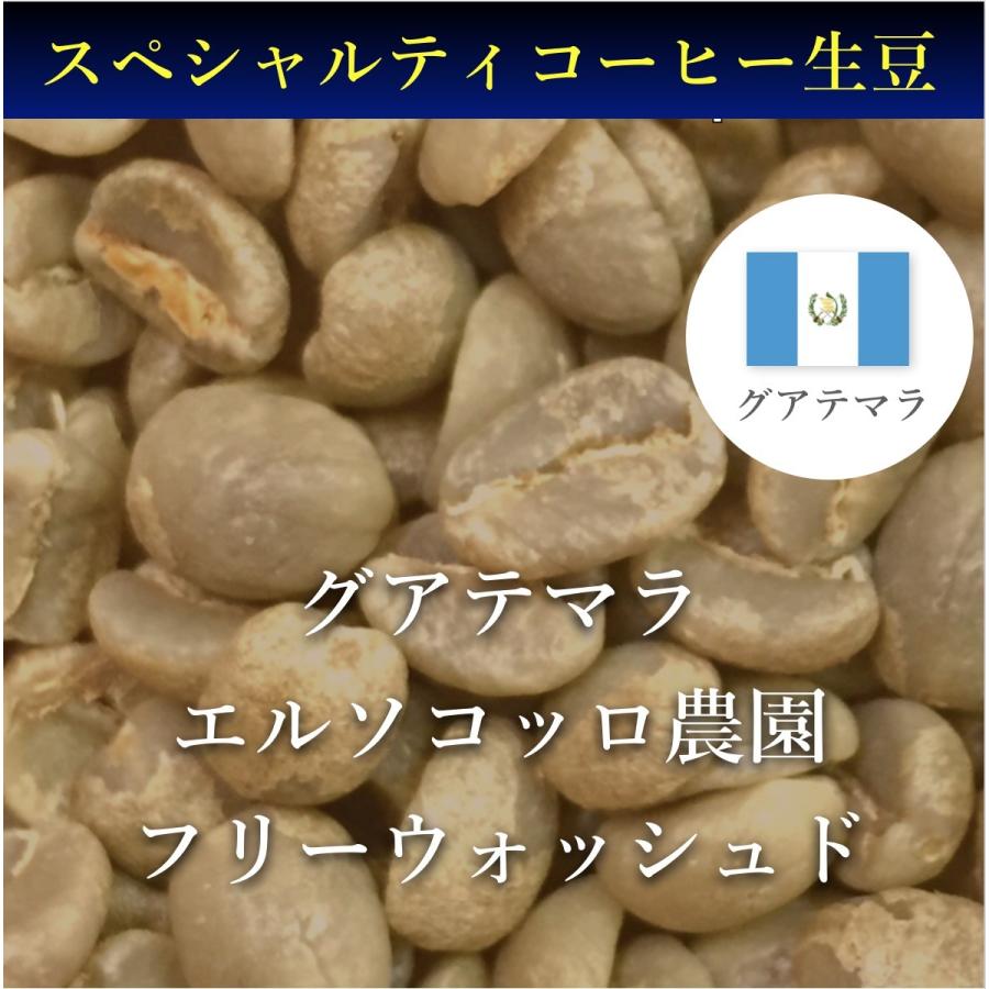 【ネット限定価格】コーヒー生豆 1kg グアテマラ エルソコッロ フリーウォッシュド　｜kyoto-coffee