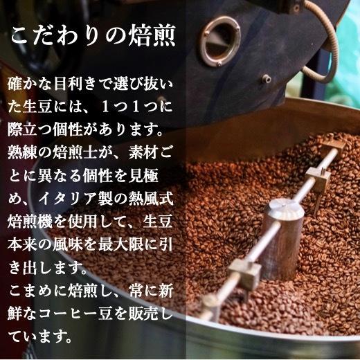 コーヒー豆 コーヒー 珈琲 250g インド アラクバレー Gems of Araku 2位入賞ロット｜kyoto-coffee｜03