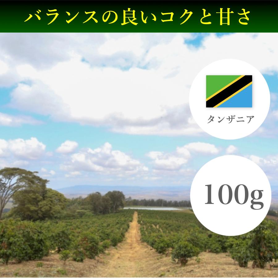 コーヒー豆 100g タンザニア キリマンジャロ ンゴロンゴロ | 