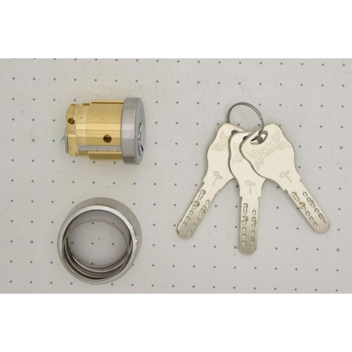 ゴール GP-LX シリンダー シルバー（GP-LX5シルセット）（扉厚29mm