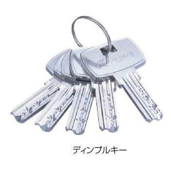 アルファ D36M05-TRW-32D-100-ALU （アルファミリオンロック取替