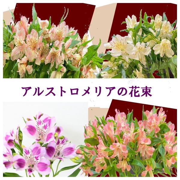 大勧め アルストロメリアの花束 品種おまかせ