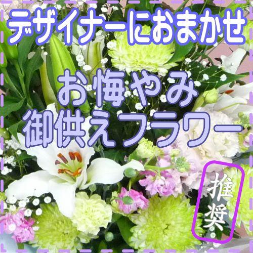 大人気 MS81VTTDKWK [MS81VTTDKWK]