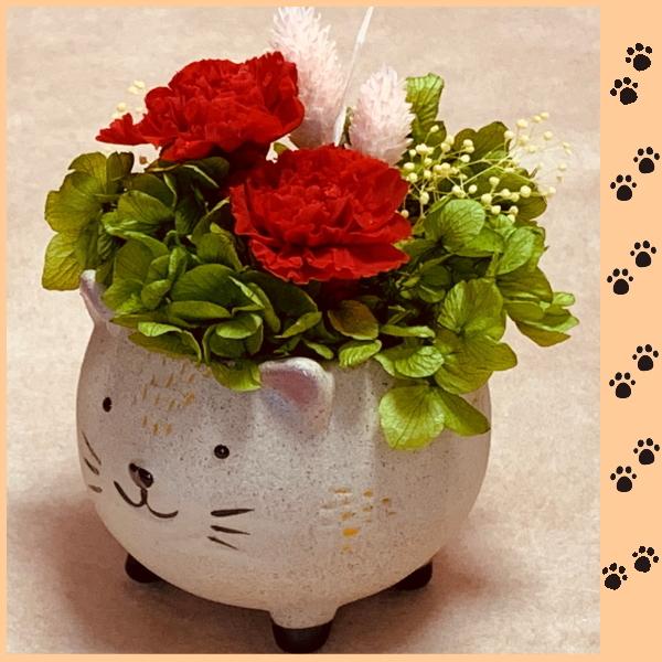 まる猫咲く咲く　ニャンてすてきなプリザーブドアレンジメント｜kyoto-flower｜02