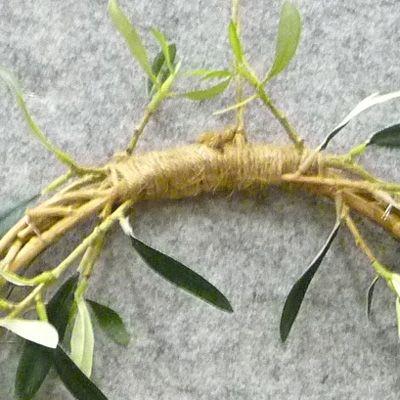 オリーブのナチュラルリース 木と実のナチュラルタイプ : 京都フラワー