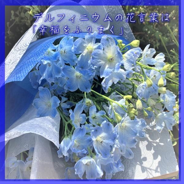 青い花束デルフィニュームプラチナム Platinumblue001 京都フラワーサービス 通販 Yahoo ショッピング
