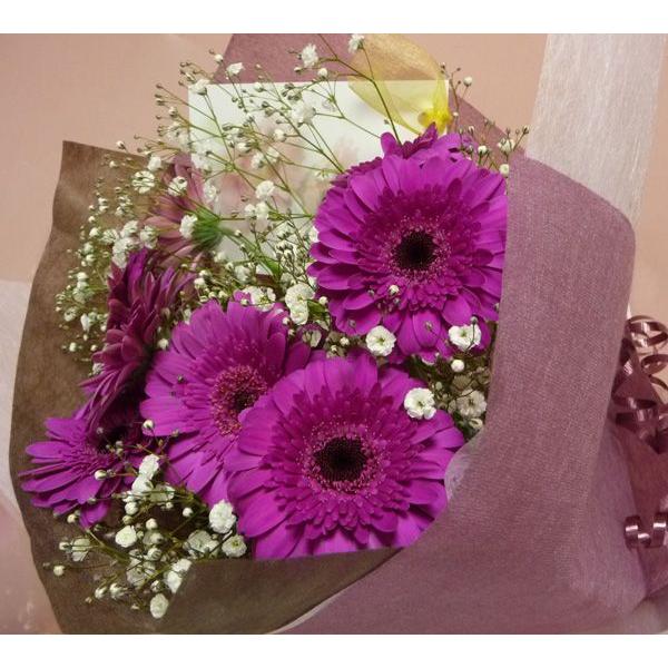 ときめくガーベラ 人気ブランド