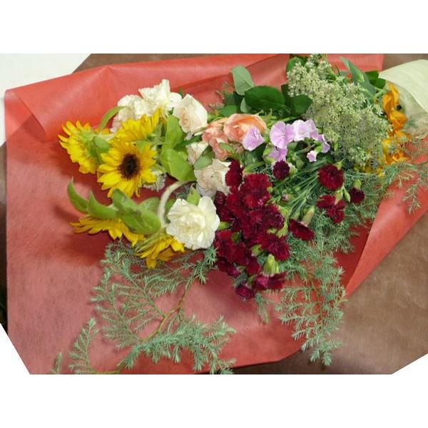 送料無料 オフィスの旬な花 普段使い用 定期便 月に1回 4ヶ月 To Office Teiki 京都フラワーサービス 通販 Yahoo ショッピング
