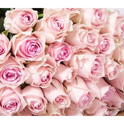 ピンク薔薇 欲しい数だけ花束 オール4ラブ ピンクアバランチェ ピンク薔薇 欲しい数だけ花束 オール4ラブ ピンクアバランチェ