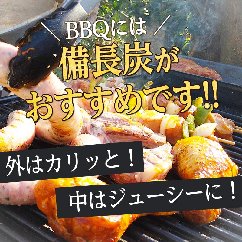 日向備長炭　15.2kg 275000390000.jpg