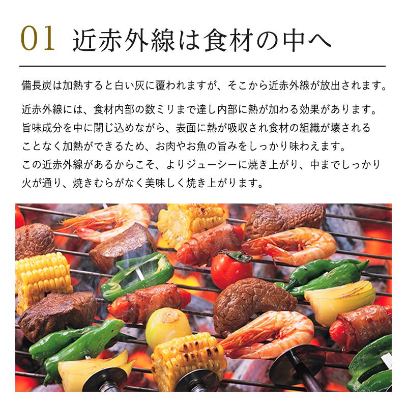 日向備長炭　15.2kg 275000390000.jpg