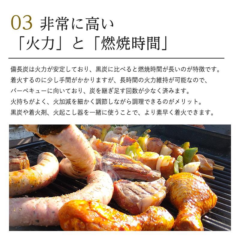 日向備長炭 バーベキュー用 2kg BBQ 炭 七輪 キャンプ アウトドア 備長