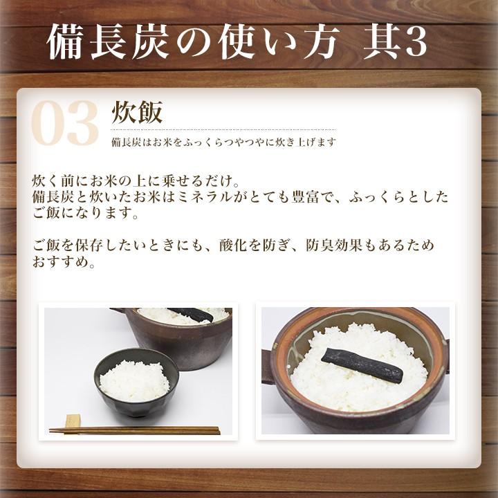 日向備長炭 備長炭 樫二級上 12kg 国産 宮崎県産 調理・燃料用 炭火焼
