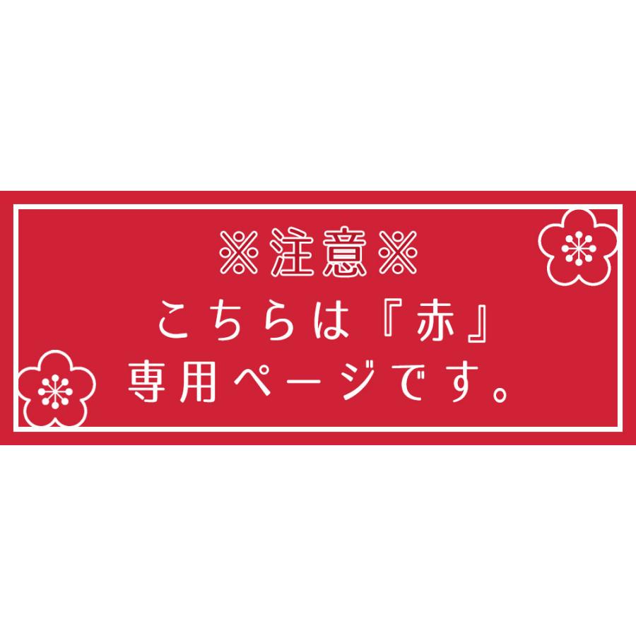 【レンタル】赤 / 産着 お宮参りセット 色指定 おまかせレンタル 女の子 初着 御宮参り 5点 フルセット |  | 02