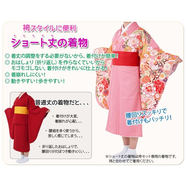 二尺袖 着物単品 ショート丈 袴専用 小紋 レトロモダン 卒業式袴 二尺袖 着物単品 ショート丈 袴専用 小紋 レトロモダン 卒業式袴