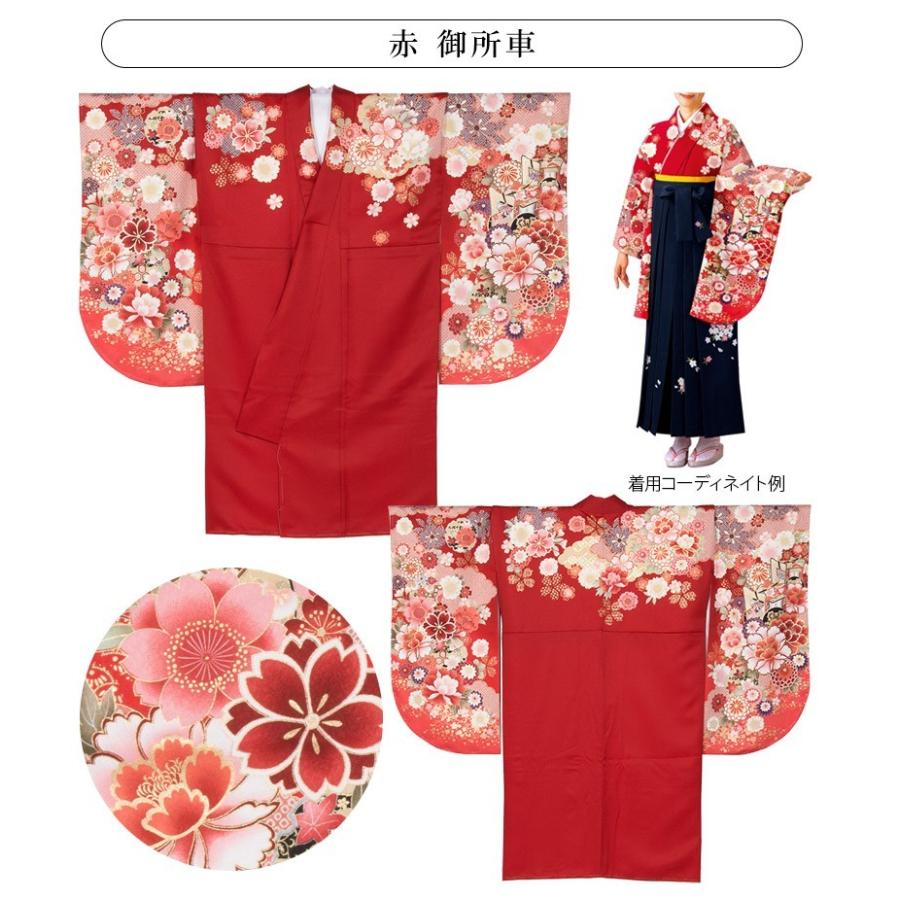 レディース 袴用着物単品 二尺袖着物 小振袖 袴専用ショート丈 絵羽
