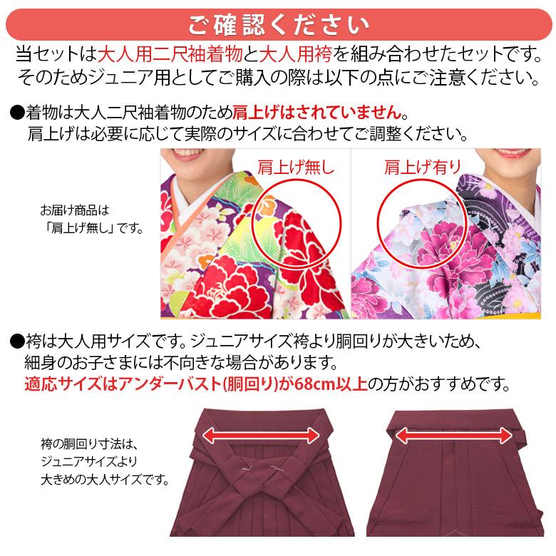 卒業式袴3点セット 小紋柄 二尺袖 着物 刺繍袴 レトロモダン 卒業式袴3点セット 小紋柄 二尺袖 着物 刺繍袴 レトロモダン