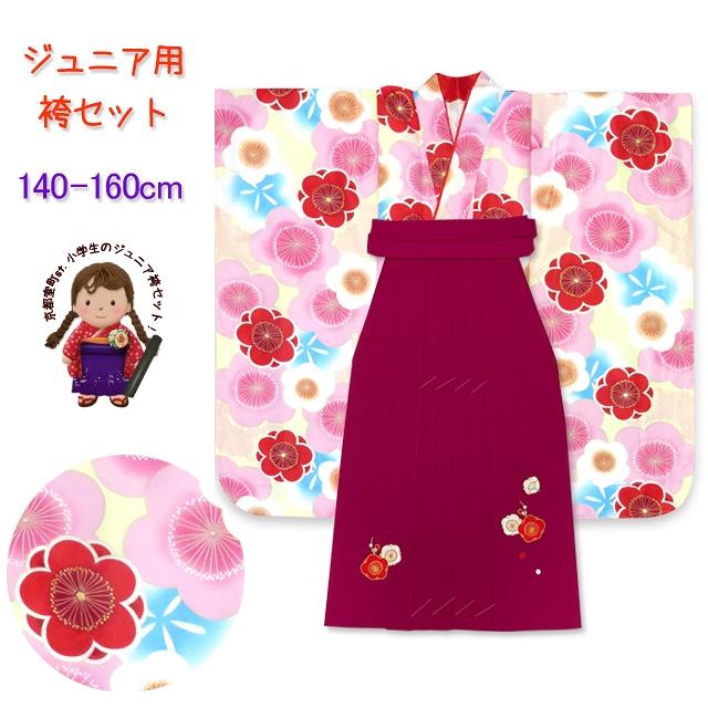 小学校の卒業式に 女の子 袴セット ジュニア振り袖 刺繍袴 3点セット 
