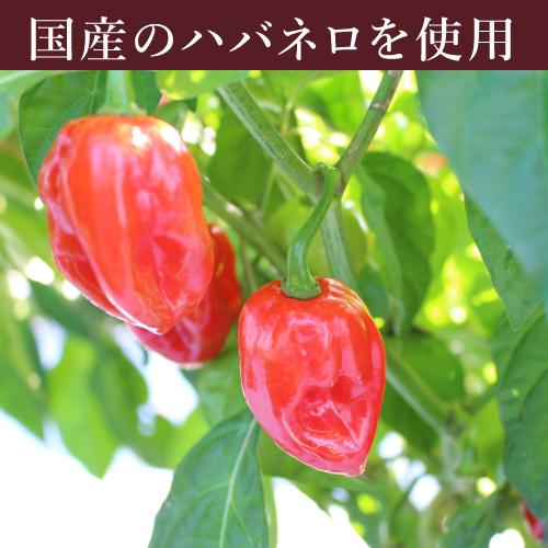 激辛 一味 詰替え　舞妓はんひぃ〜ひぃ〜 一味唐辛子・袋  (詰め替え用) おちゃのこさいさい 京都 | 舞妓さん 一味 唐辛子 とうがらし 国産 ハバネロ｜kyoto-ochanokosaisai｜04