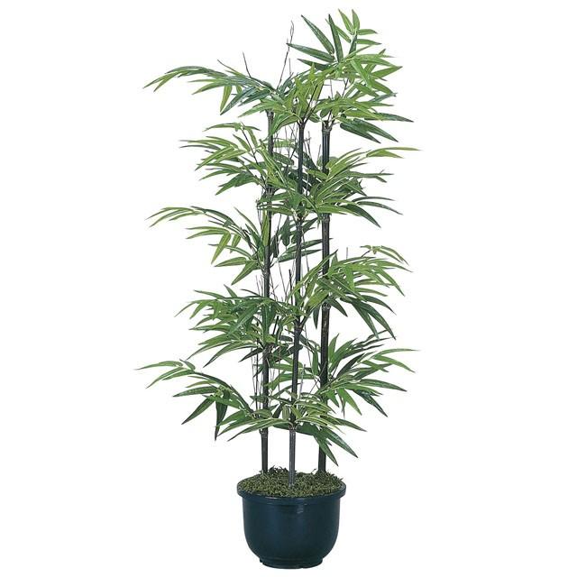 ●光の園 (176K125-33) 黒竹1.0（幹:天然黒竹） 送料無料 92397