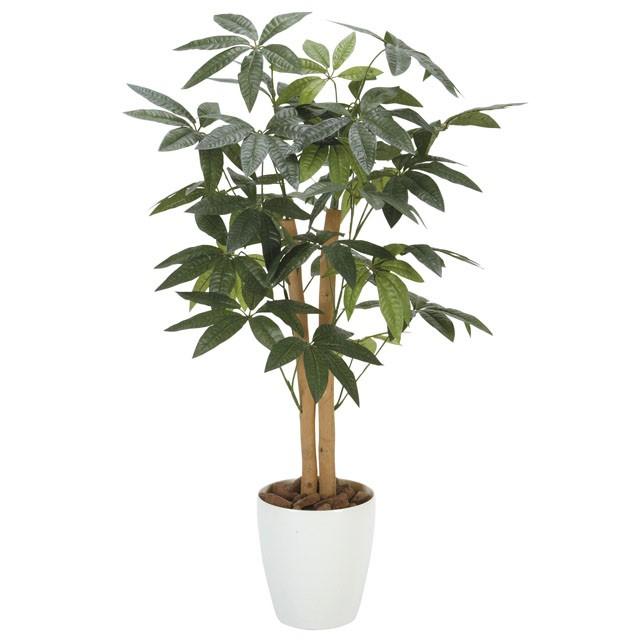 ●光の園 (209K120-32) パキラ90 送料無料 92414