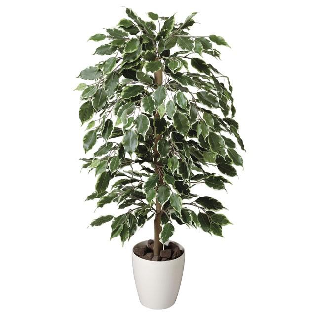 ●光の園 (202A150-57) ゴールデンフィカス1.0 送料無料 92470 光触媒 光の楽園 ゴールデンフィカス1.0 202A150\u003cbr\u003e約 幅55×奥行55×高