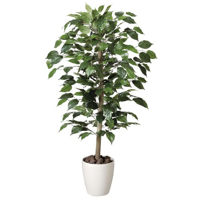 ●光の園 (200A150-57) ベンジャミン1.0 送料無料 92471