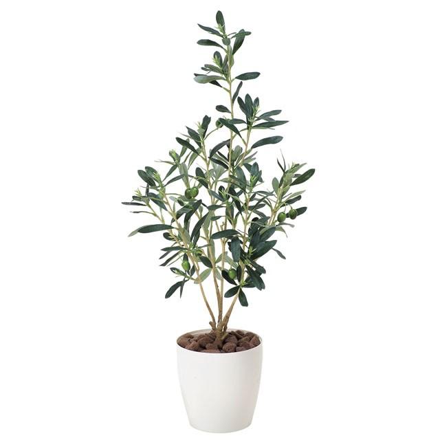 ●光の園 (379K70-58) オリーブ 送料無料 92478