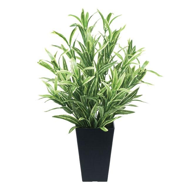 ●光の園 (519A70-62) ツートンスパイダー 送料無料 92520