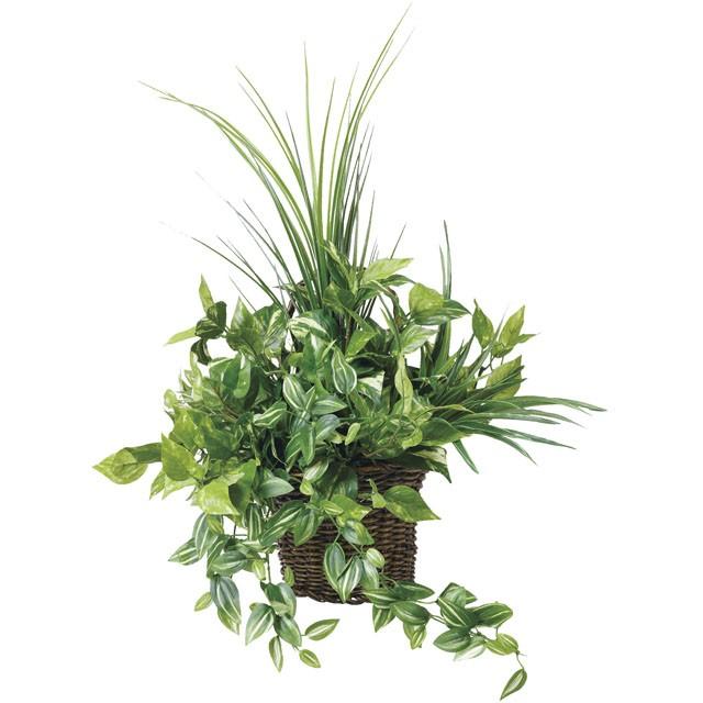 ●光の園 (281K80-72) 壁掛ナチュラルグラス 送料無料 92595