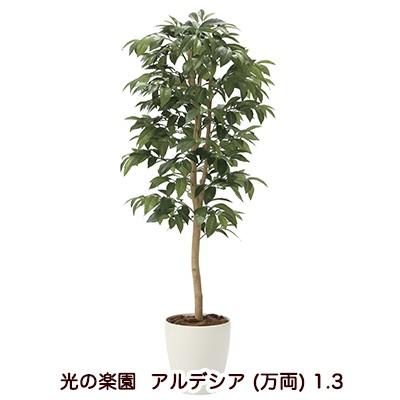 円 日時指定 光の楽園 33a0 50 アルデシア 万両 1 3 送料無料 941