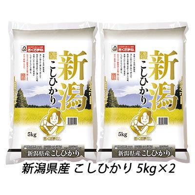 ●匠 ( 白米 ) 新潟県産 こしひかり 5kg×2 ( 10kg ) 送料無料 04300｜kyoto23