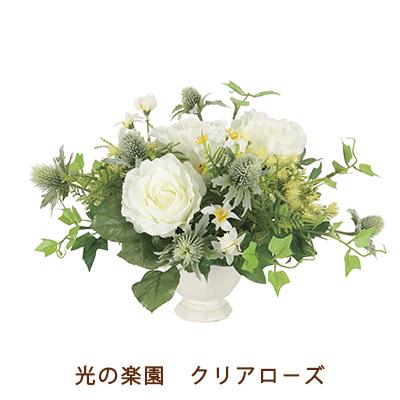 ●光の園 (52K60-95) クリア ローズ 送料無料 92722