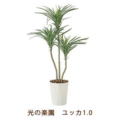 ●光の園 (2270A100-56) ユッカ 1.0 送料無料 99479