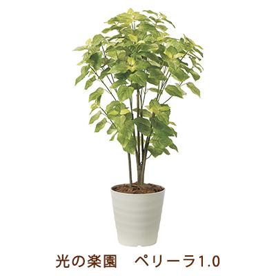 ●光の園 (2225A150-57) ペリーラ 1.0 送料無料 99483