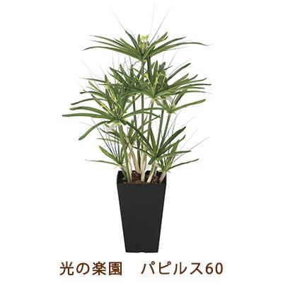 ●光の楽園 (2296A120-64) パピルス 60 送料無料 99498