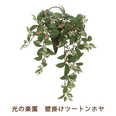 ●光の園 (2218A90-72) 壁掛け ツートン ホヤ 送料無料 99515