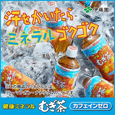 健康ミネラルむぎ茶 伊藤園 健康 ミネラル むぎ茶 PET 650ml 48本 (24