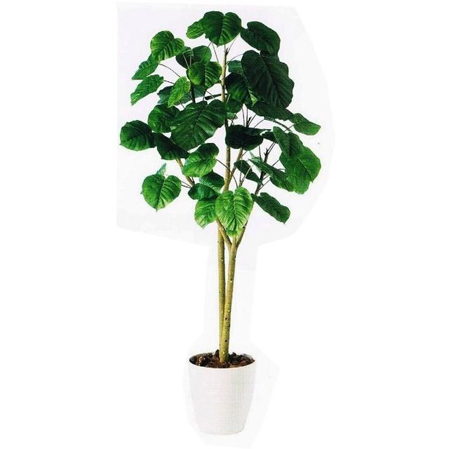 ●【98501】人工観葉植物 ウンベラー2本立 1.8m 送料無料 92887