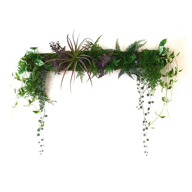 ●グリーン壁掛　触媒加工あり 送料無料 92934