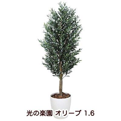 【個人様購入可能】●光の楽園 (148K650-44) オリーブ 1.6 送料無料 94129