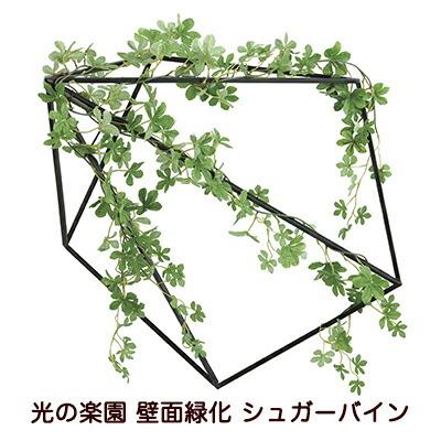【個人様購入可能】●光の楽園 (2001A150-69) 壁面緑化 シュガーバイン 送料無料 94152